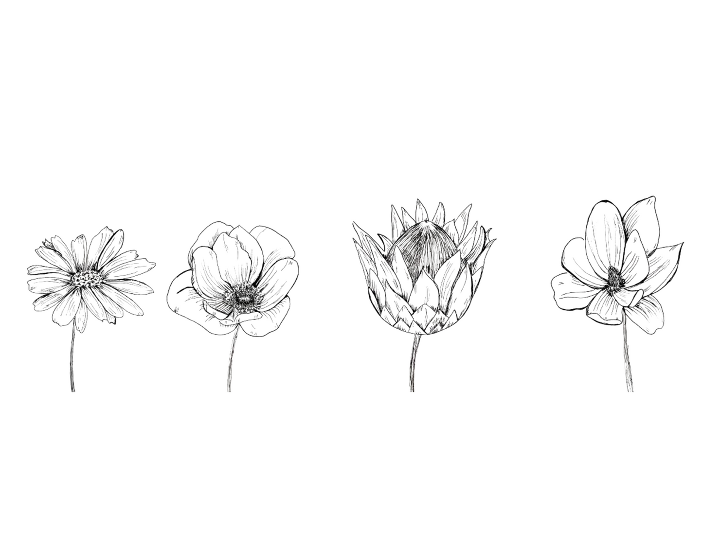 Line Flowers Art Print