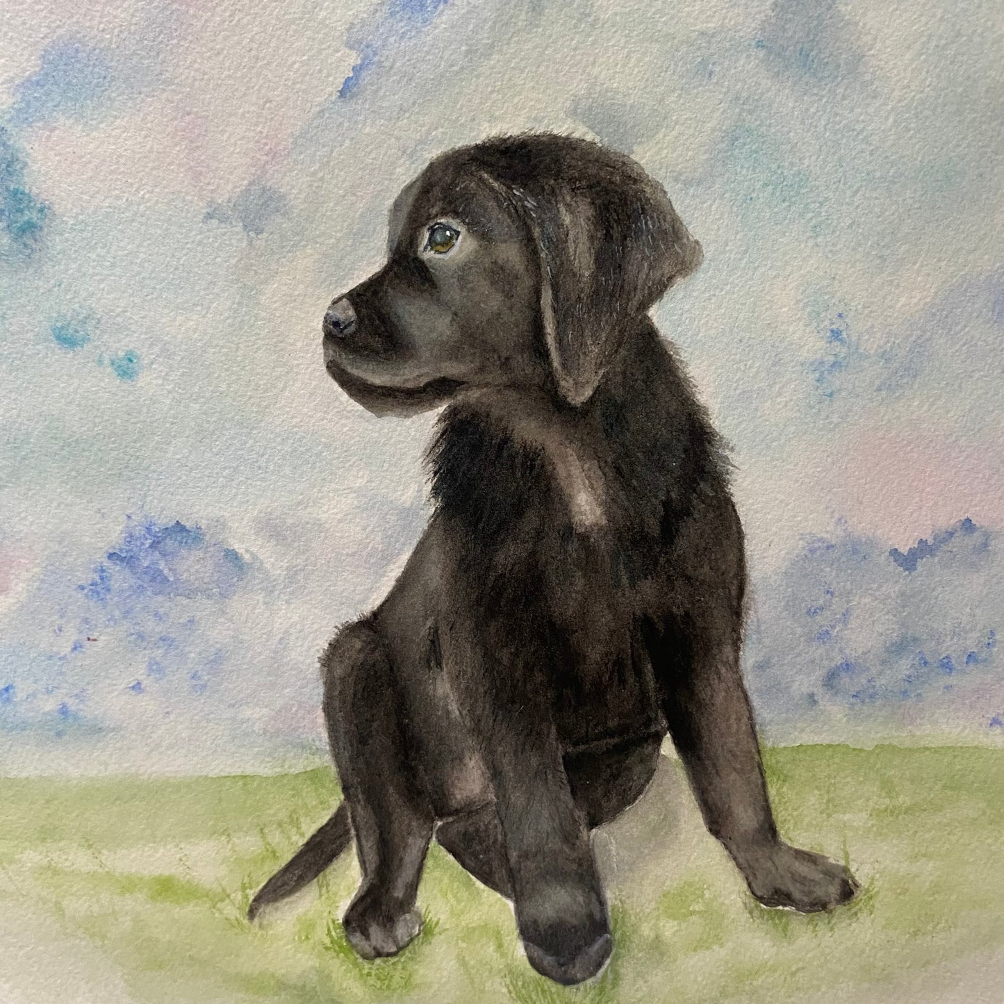 Custom Pet Portraits