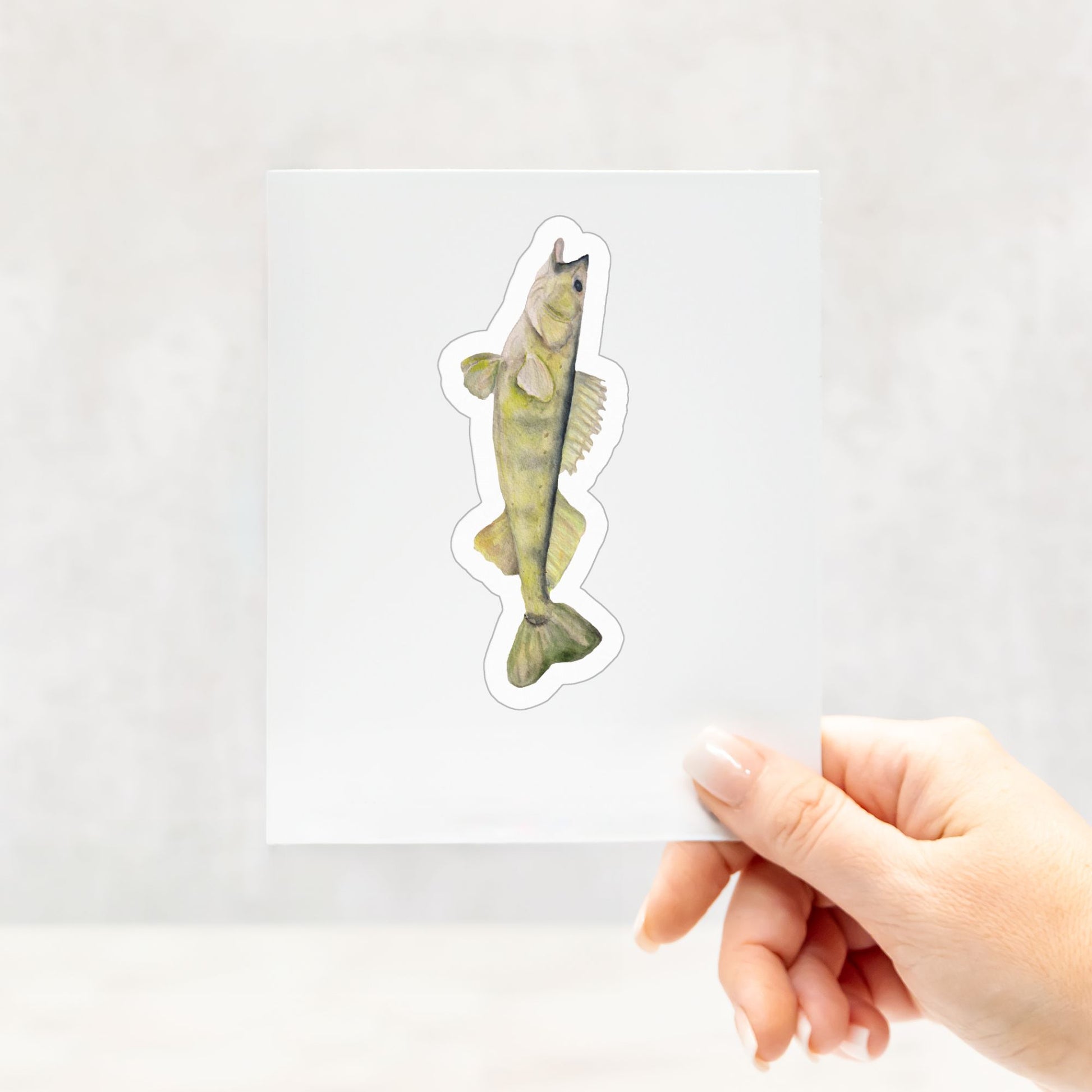 Walleye Watercolor Fishing Sticker by Patricia's