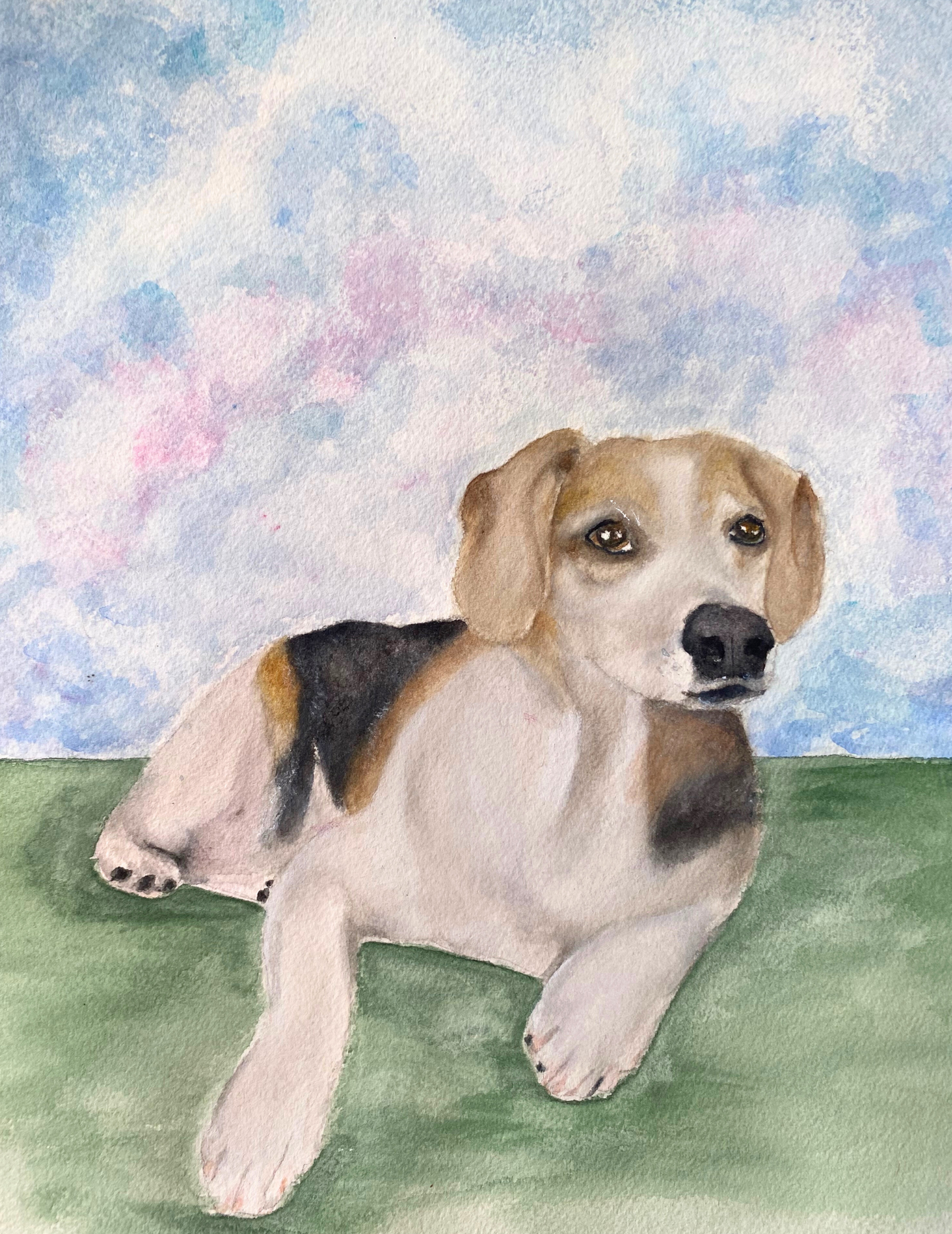 Custom Pet Portraits