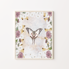 Load image into Gallery viewer, Butterfly Daisy Art Print
