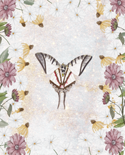 Load image into Gallery viewer, Butterfly Daisy Art Print
