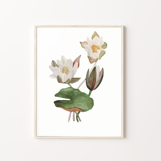 Sweet Lily Pad Art Print